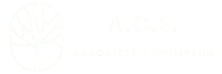 ANTHONY CHENEAU ELAGAGE - A.C.E._logo
