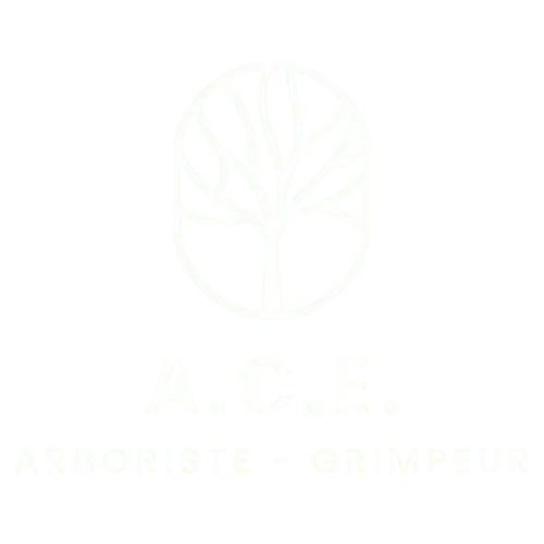 abattage arbre la ferriere