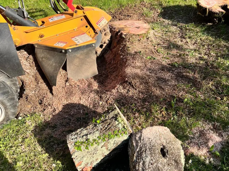 arboriste essarts en bocage