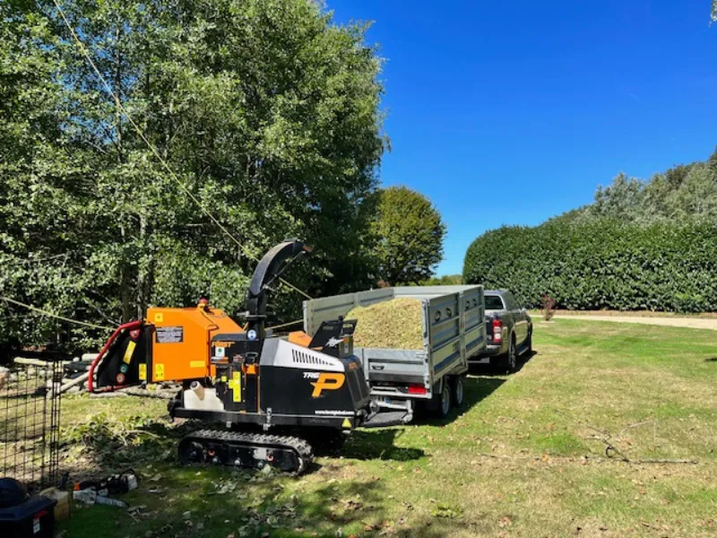 bucheronnage belleville sur vie