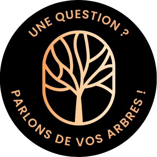 Bouton de contact
