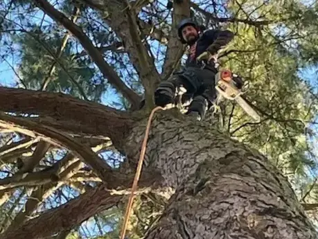 élageur à Essarts-en-Bocage - image 3