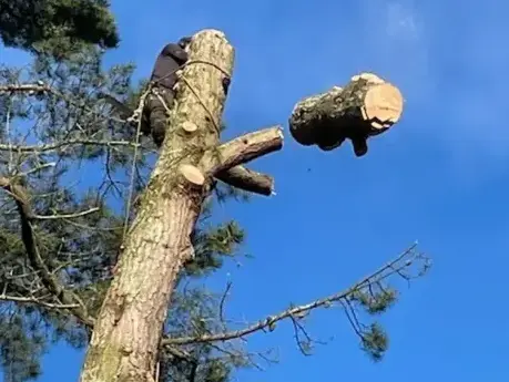 élageur Essarts-en-Bocage-5