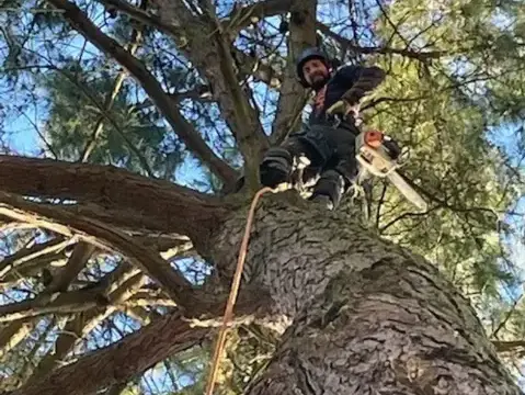 élageur Saint-Gilles-Croix-de-Vie-5