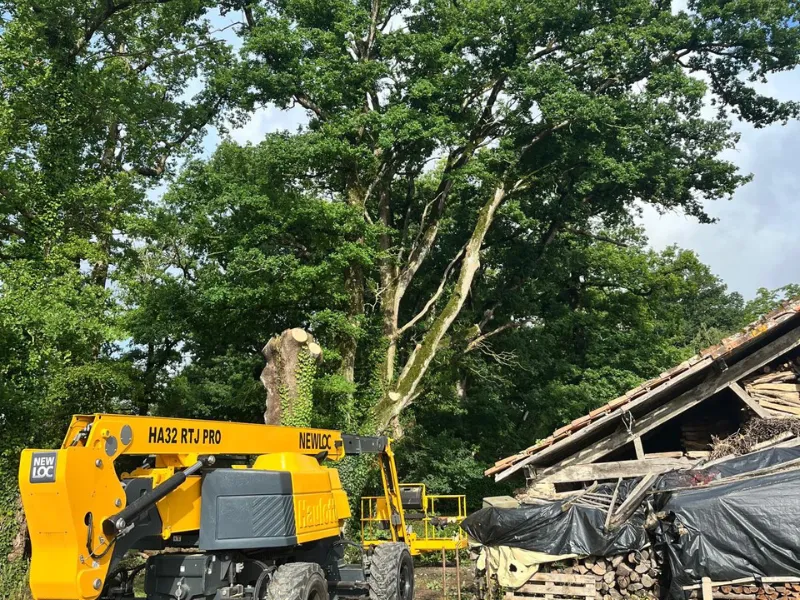 taille arbre saint gilles croix de vie