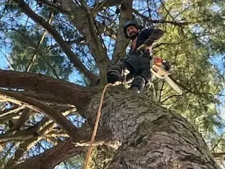 travail sur corde à Aizenay - image 3