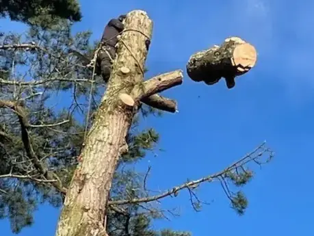 travail sur corde Aizenay-5