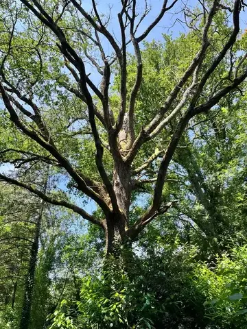 travail sur corde Bellevigny-1