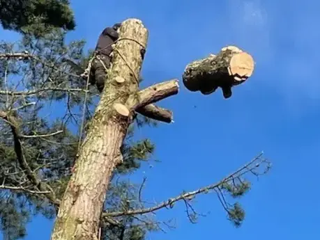 travail sur corde à Belleville-sur-Vie - image 4