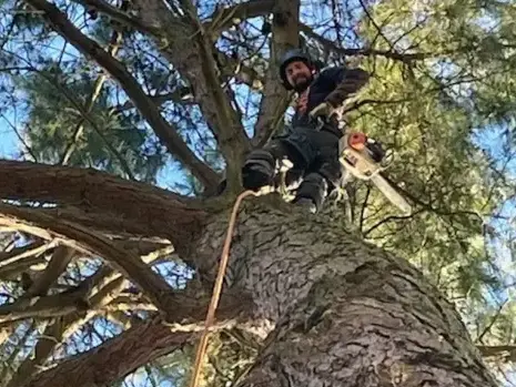 travail sur corde Belleville-sur-Vie-5