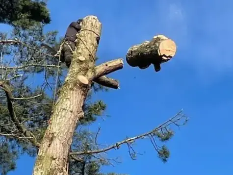 travail sur corde à Bretignolles-sur-Mer - image 3