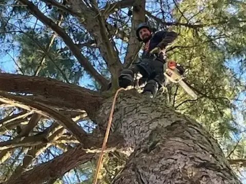 travail sur corde Dompierre-sur-Yon-5