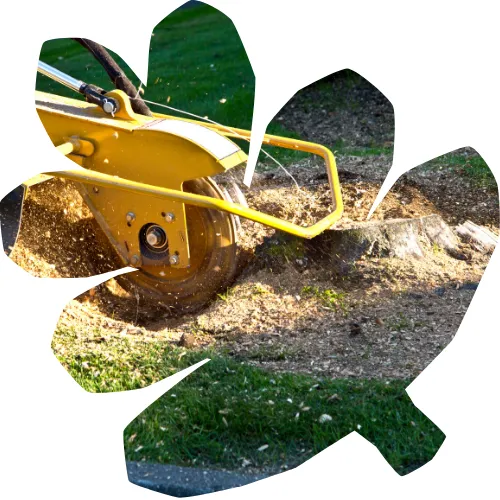 travail sur corde dompierre sur yon