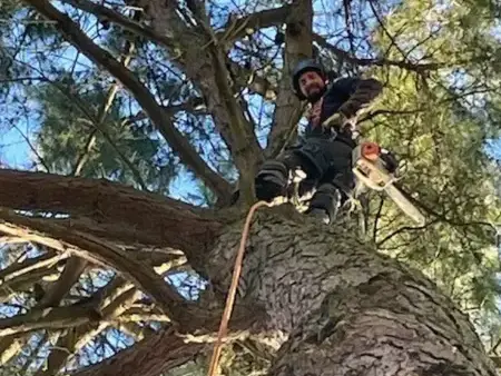 travail sur corde Essarts-en-Bocage-1