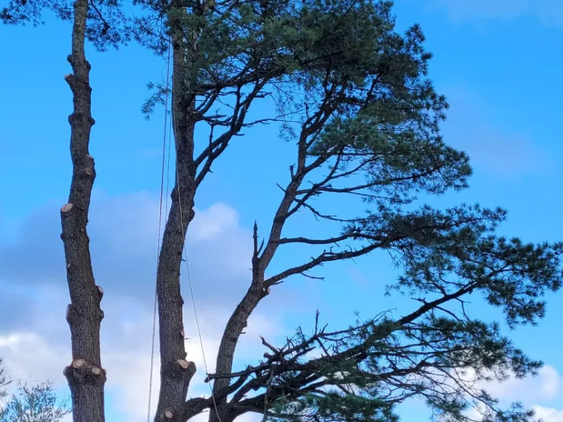 travail sur corde la ferriere