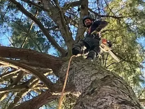travail sur corde La Ferrière-5
