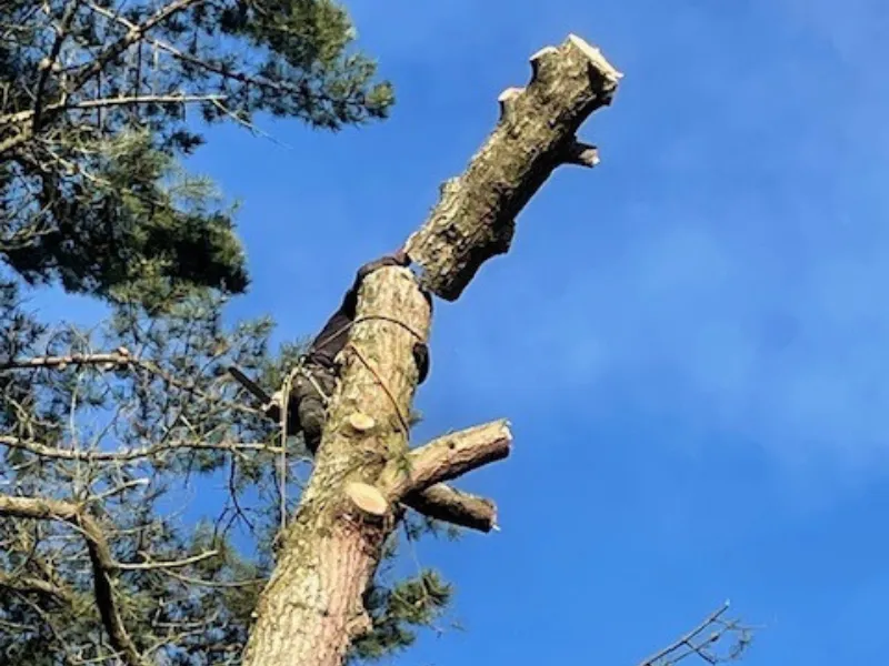 travail sur corde le poire sur vie