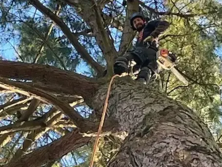 travail sur corde Montaigu-1