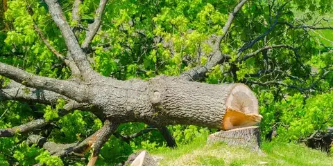travail sur corde Montaigu-Vendée-1