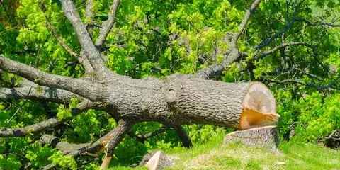 travail sur corde Saint-Gilles-Croix-de-Vie-1