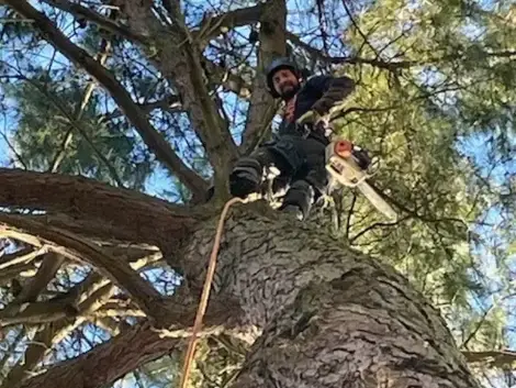 travail sur corde à Saint-Gilles-Croix-de-Vie - image 2
